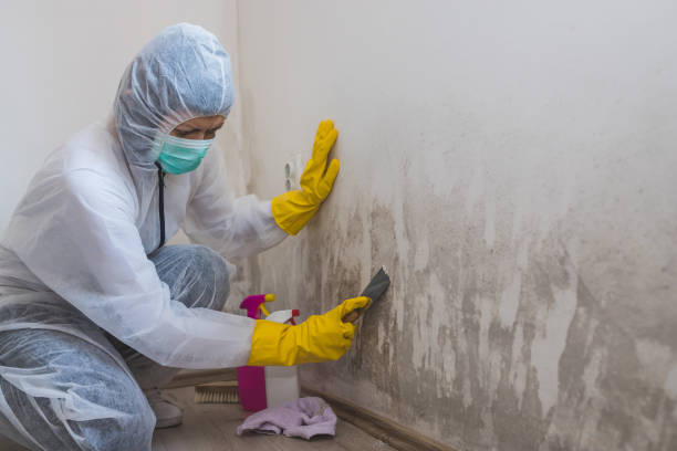 Best Airborne Mold Testing  in Cataula, GA