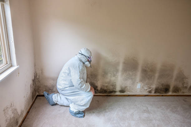 Best Asbestos and Lead Testing During Mold Inspection  in Cataula, GA