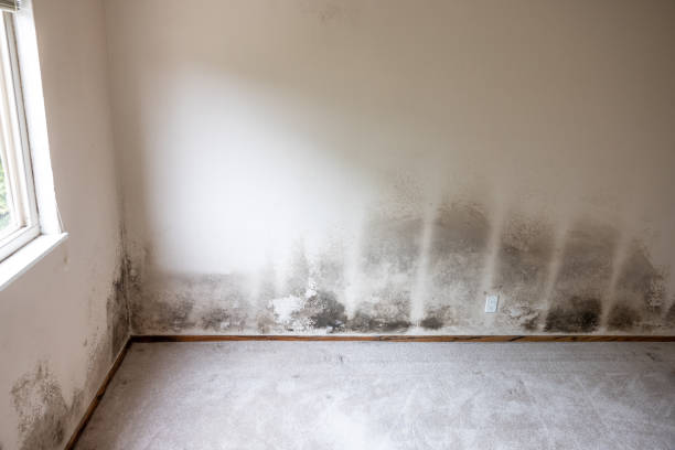 Best Mold Remediation for Healthcare Facilities  in Cataula, GA