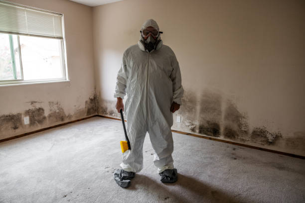 Best Attic Mold Removal  in Cataula, GA